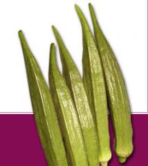 Okra
