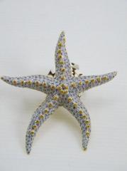 Brooch pendant starfish
